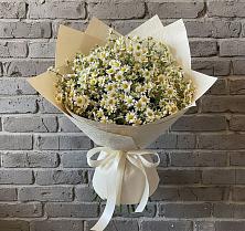 Букет цветов из:  Ромашки #REPLACE_PRED# Сердобске