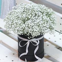 Цветочная композиция из Гипсофила в шляпной коробке #REPLACE_PRED# Сердобске